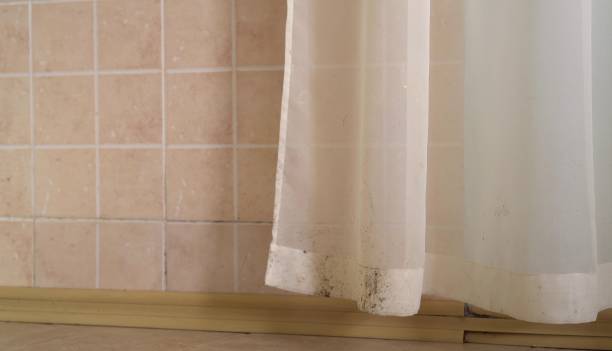 Best Mold Odor Removal Services  in Flagstaff, AZ