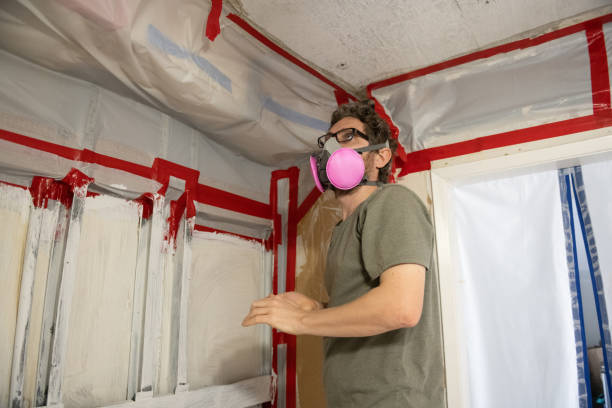 Flagstaff, AZ Mold Removal Company